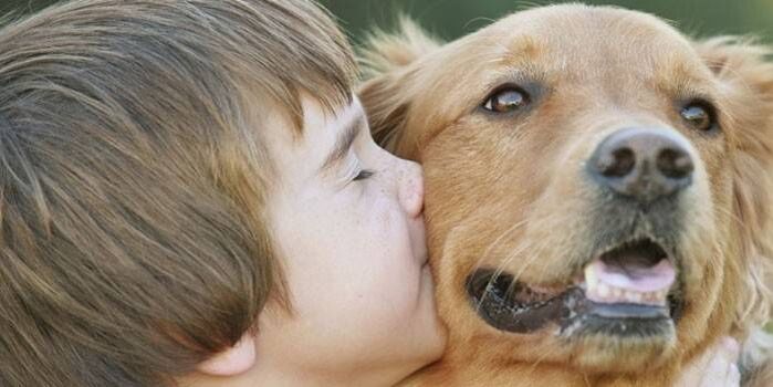 տղան շնից վարակվում է մակաբույծներով